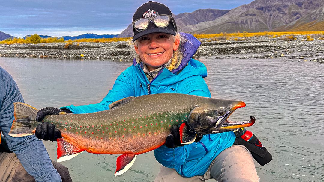 An angler holds a large, brightly colored Dolly Varden on the Ivishak River, with the Brooks Range visible beyond the water.