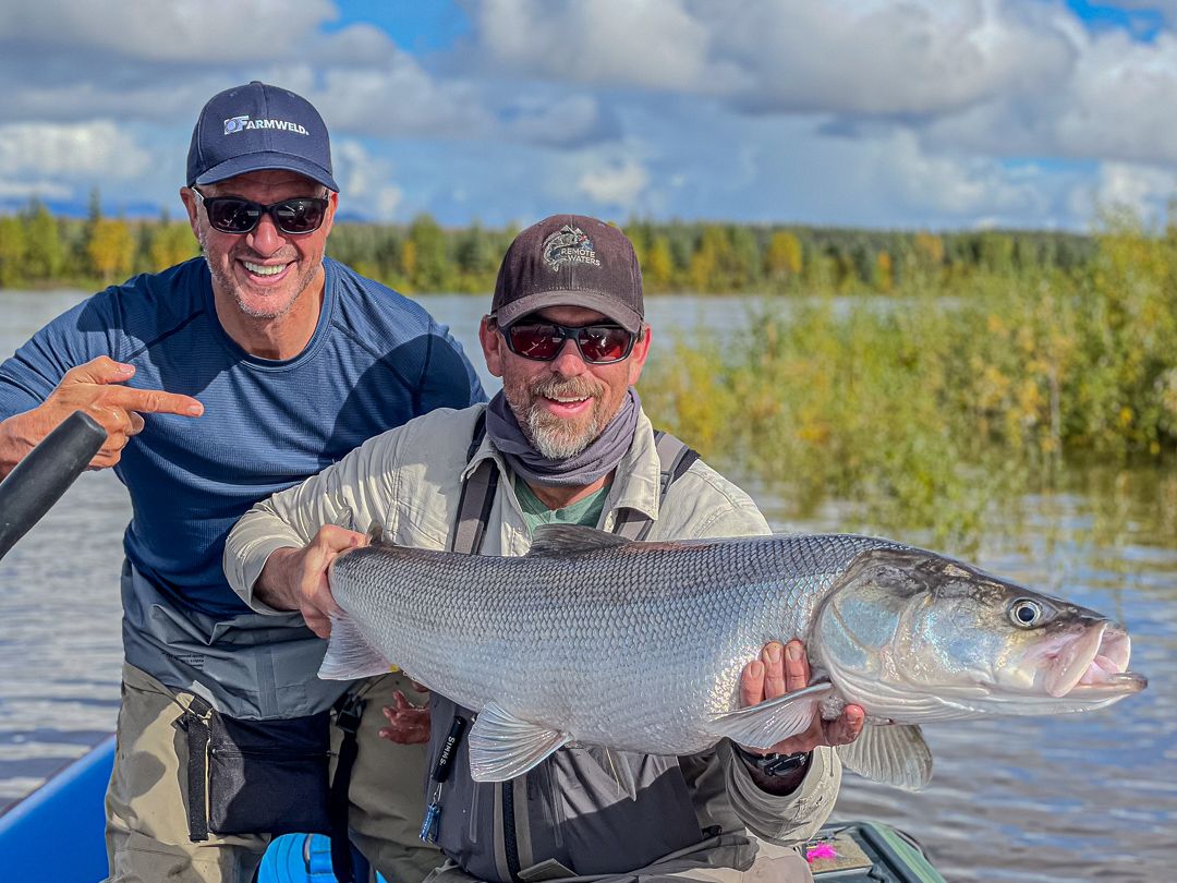 Greg Halbach and a guest hold a large sheefish on the Kobuk River.