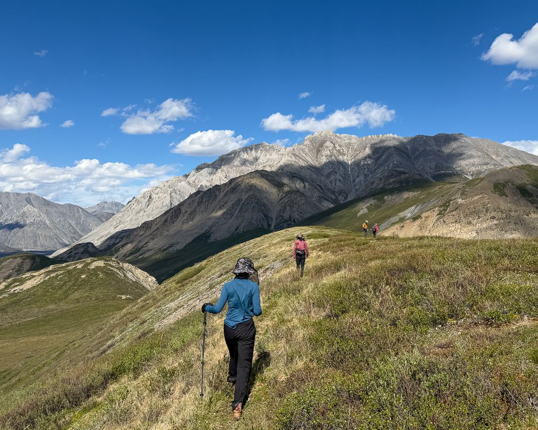 A small group hikes along a ridgeline in the Brooks Range during a Remote Waters Marsh Fork / Canning River trip.